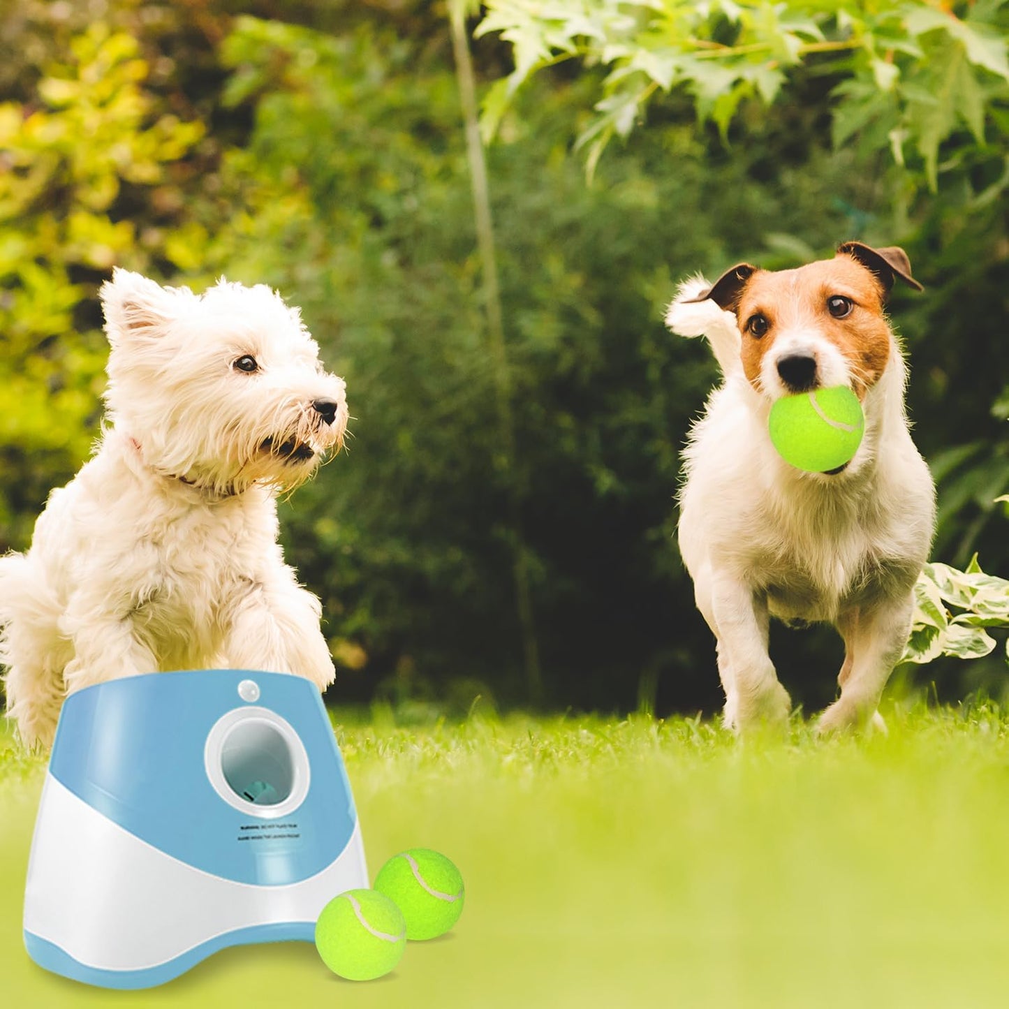 Automatic Ball Launcher for Dogs with 12 Pcs 2 Inch Tennis Balls,Thrower Distance 20-45Ft,Interacive Dog Toys for Indoor/Outdoor for Small or Medium Dogs (Blue)
