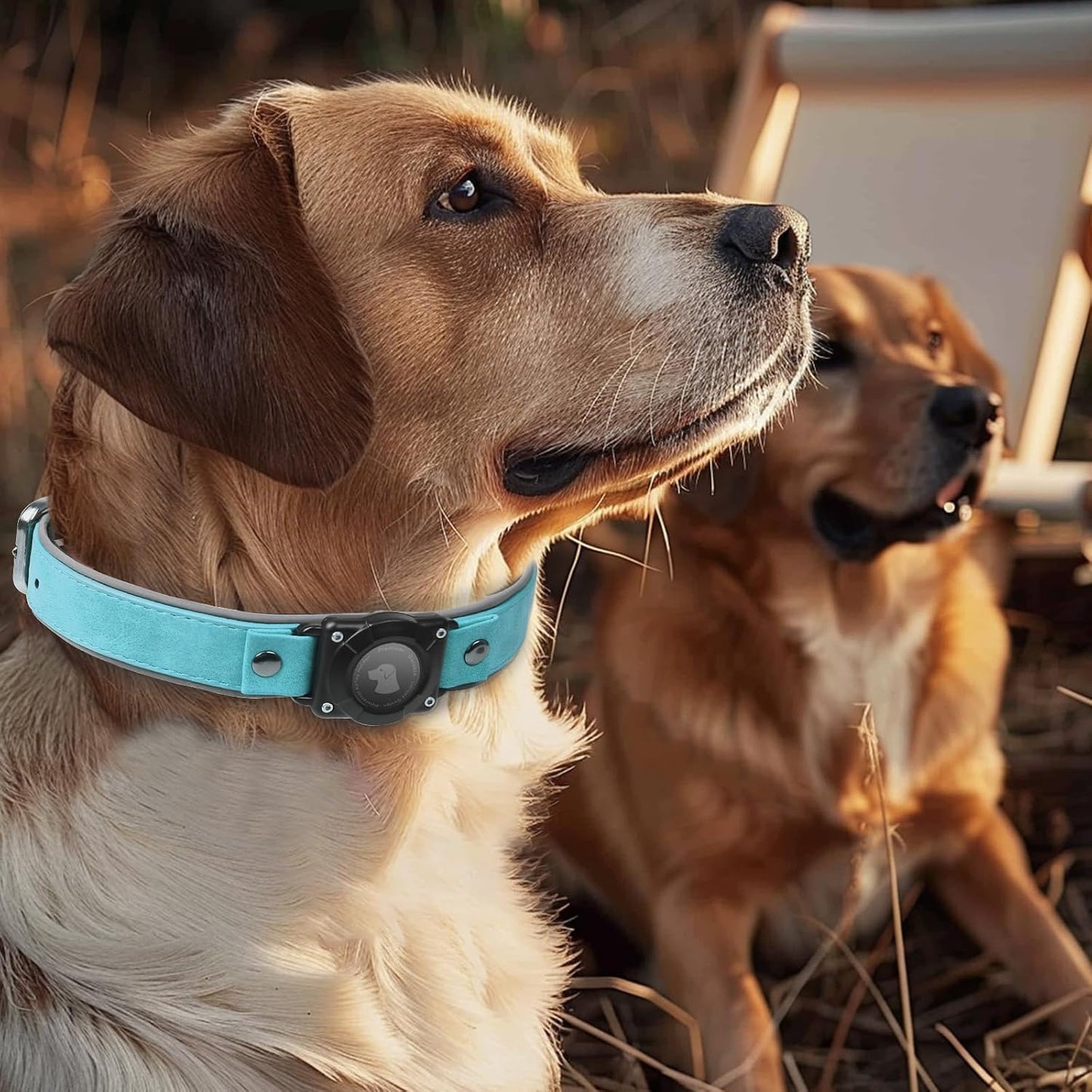 Leather Airtag Dog Collar, Waterproof Dog Collar with Air Tag Holder, Compatible with Apple Air Tag, Reflective, Durable, Comfortable Padded GPS Dogs Collars (Light Blue, L)