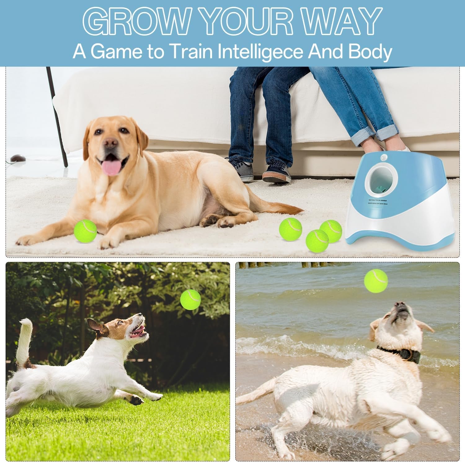 Automatic Ball Launcher for Dogs with 12 Pcs 2 Inch Tennis Balls,Thrower Distance 20-45Ft,Interacive Dog Toys for Indoor/Outdoor for Small or Medium Dogs (Blue)