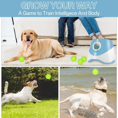 Automatic Ball Launcher for Dogs with 12 Pcs 2 Inch Tennis Balls,Thrower Distance 20-45Ft,Interacive Dog Toys for Indoor/Outdoor for Small or Medium Dogs (Blue)
